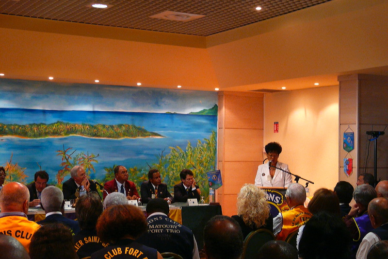 Synth&egrave;se des ateliers Leadership par le PDG Evelyne Ho-Coui-Youn Patient